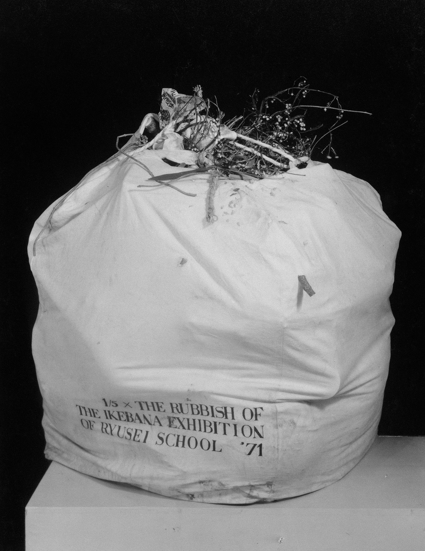 Christian Kōun Alborz Oldham, Selections from the Photographic Archive of Kosen Ohtsubo, Presented by Christian Kōun Alborz Oldham, and in cooperation with Kosen Ohtsubo, Ryu- sei-ha, and Empty Gallery at Soldes, photo 5