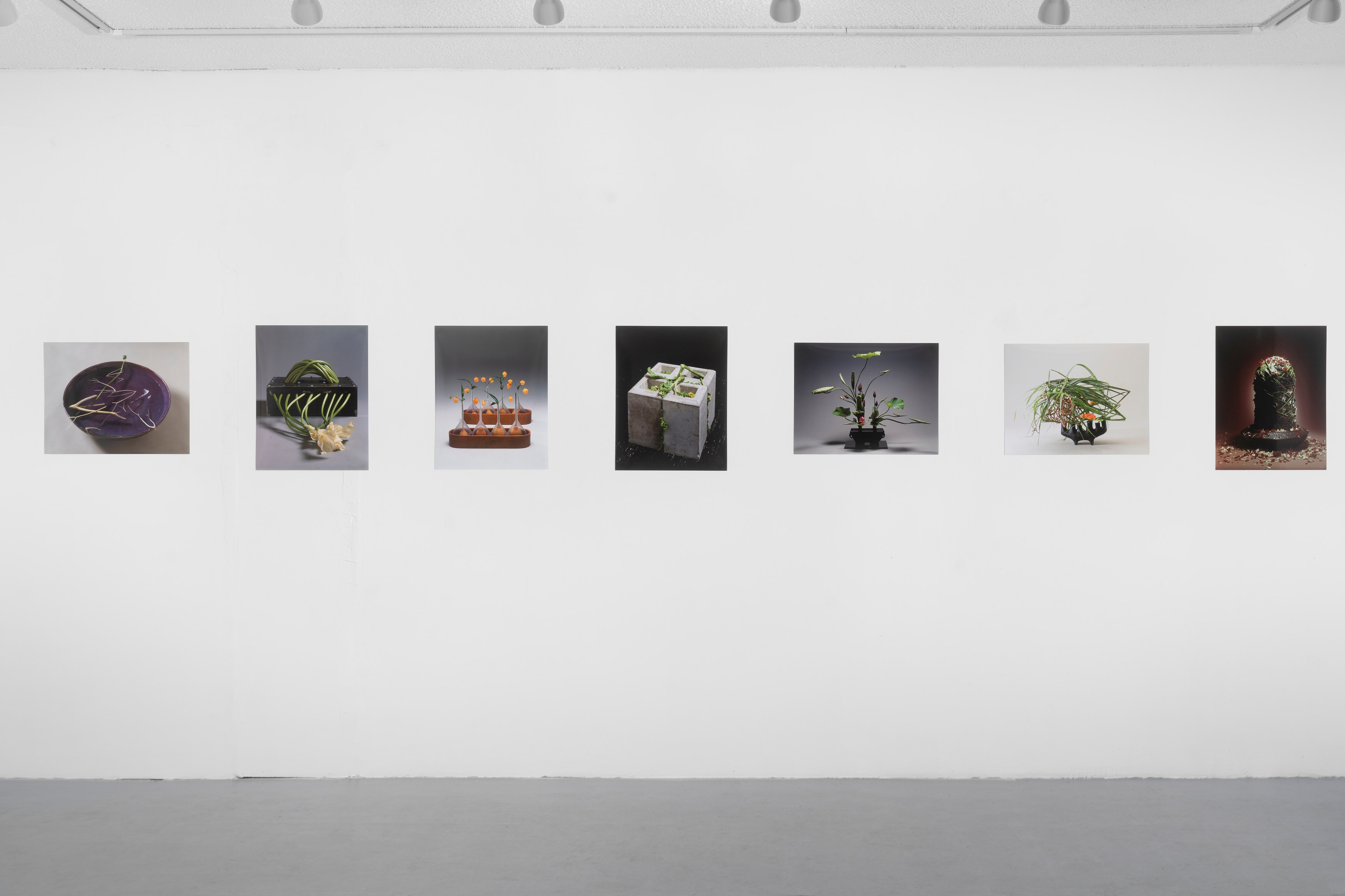 Christian Kōun Alborz Oldham, Selections from the Photographic Archive of Kosen Ohtsubo, Presented by Christian Kōun Alborz Oldham, and in cooperation with Kosen Ohtsubo, Ryu- sei-ha, and Empty Gallery at Soldes, photo 2