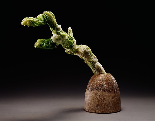Image 7 of 16