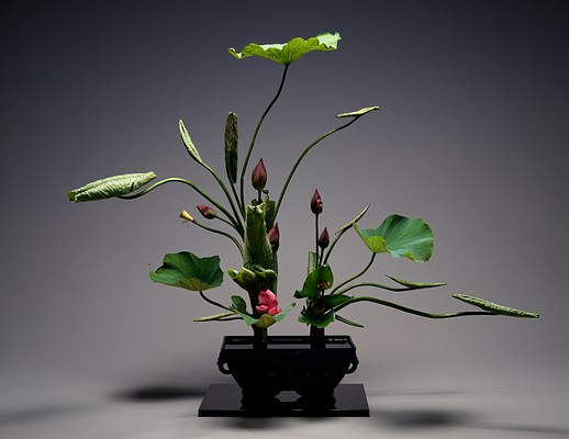 Image 9 of 16