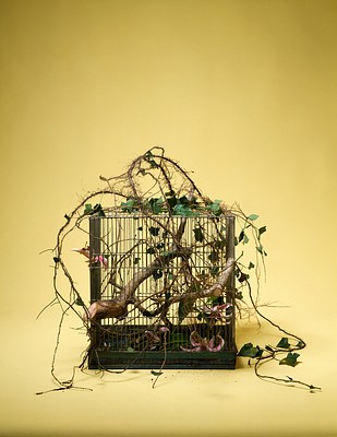 Image 11 of 16