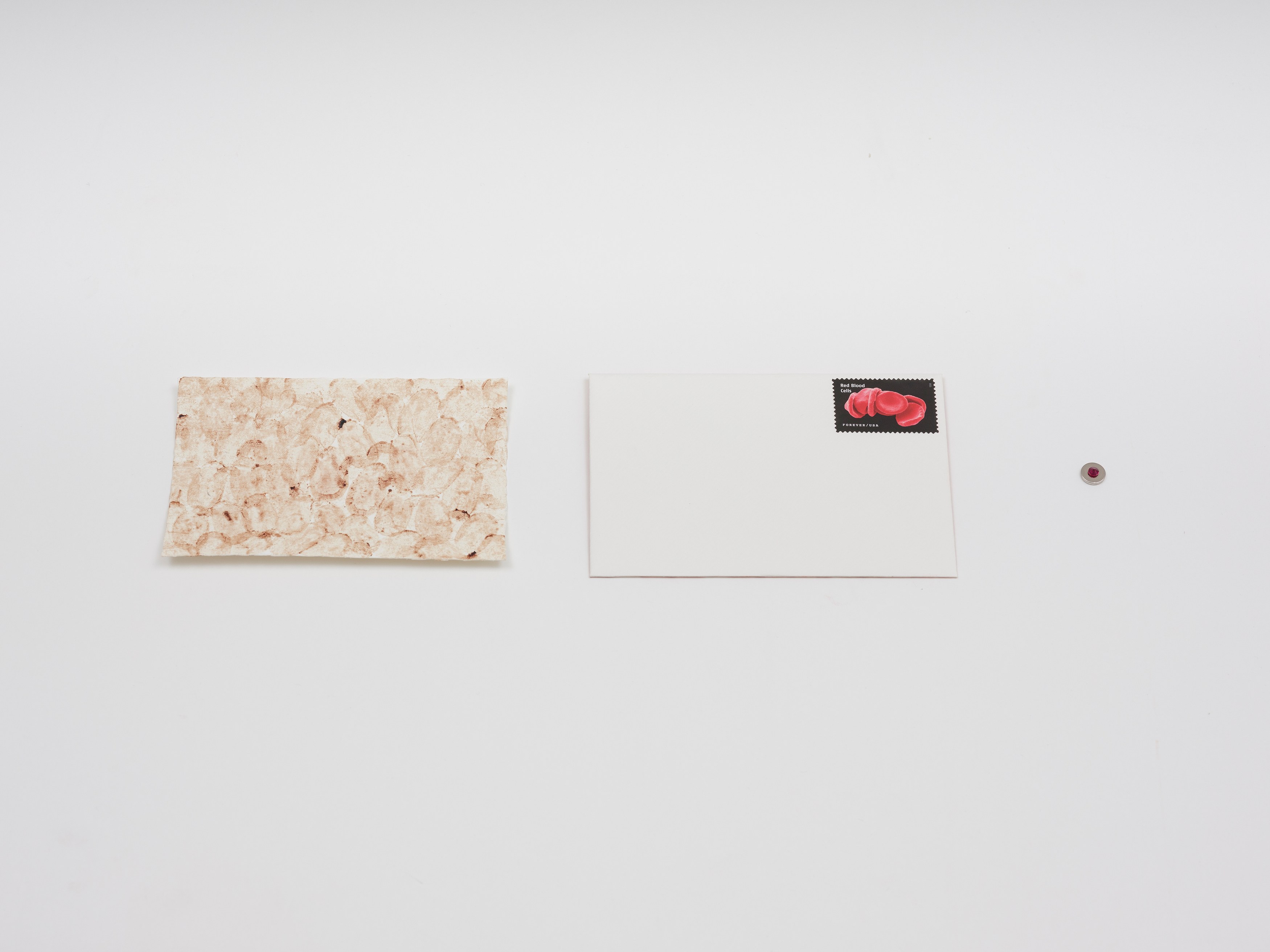 Warm Invitations, Warm Invitations at Gattopardo, photo 6