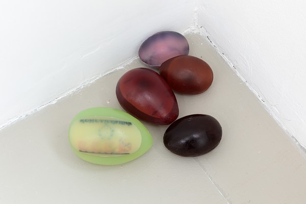 Image 7 of 15