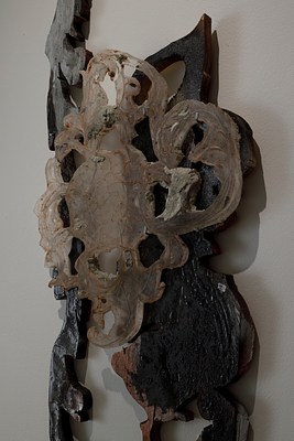 Image 5 of 25