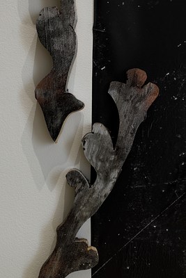 Image 10 of 25
