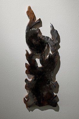 Image 12 of 25