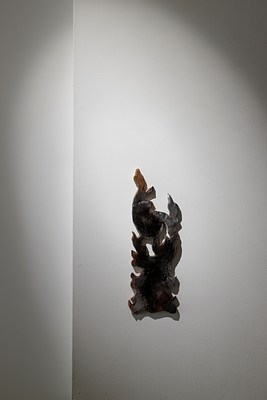 Image 11 of 25
