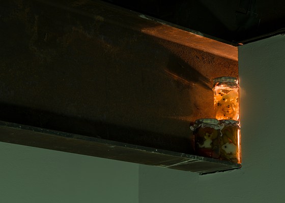 Image 16 of 16