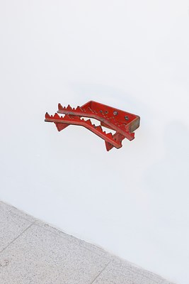 Image 3 of 29