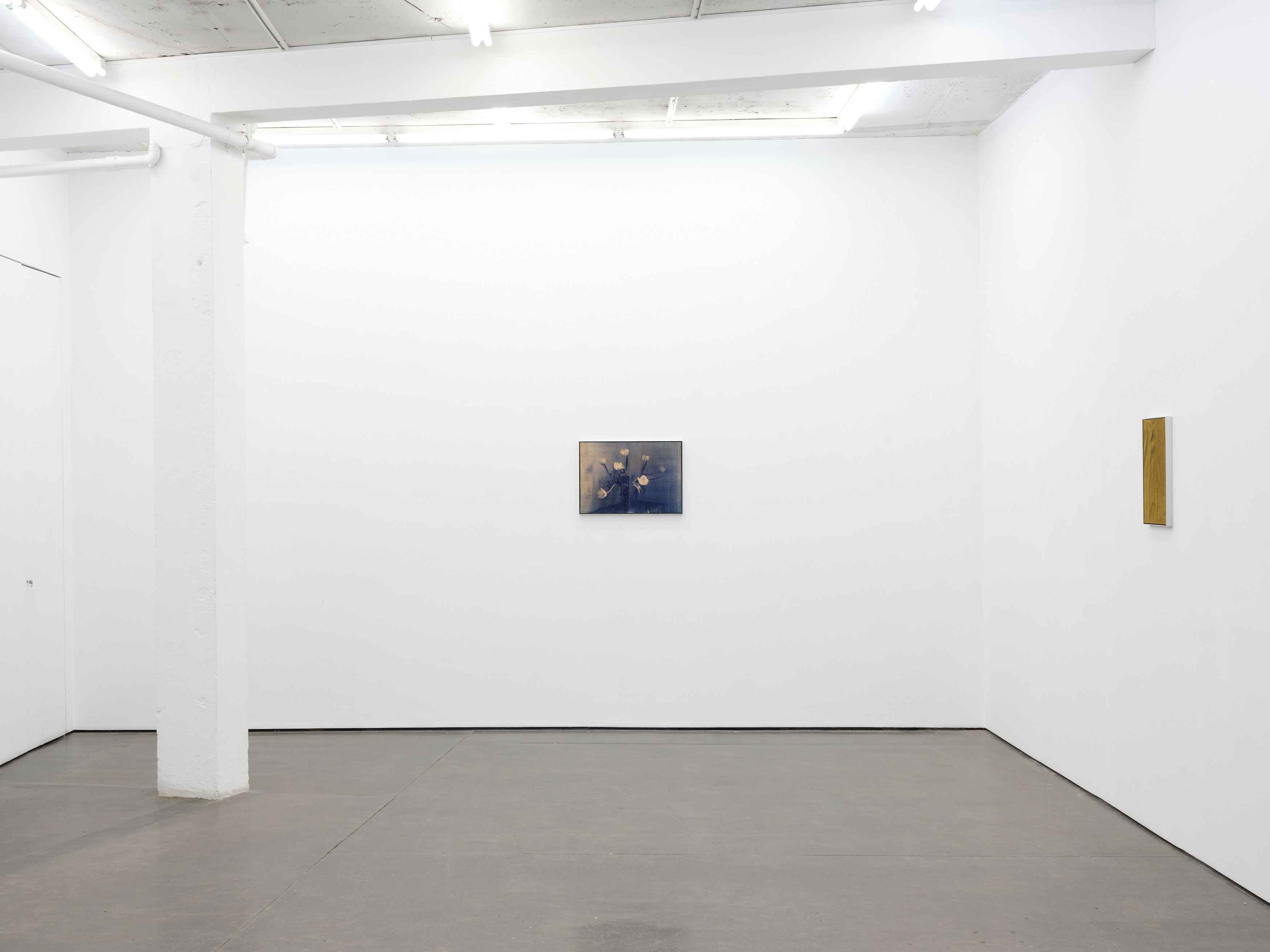 Poppy Jones, Solid Objects at Museum St, photo 7