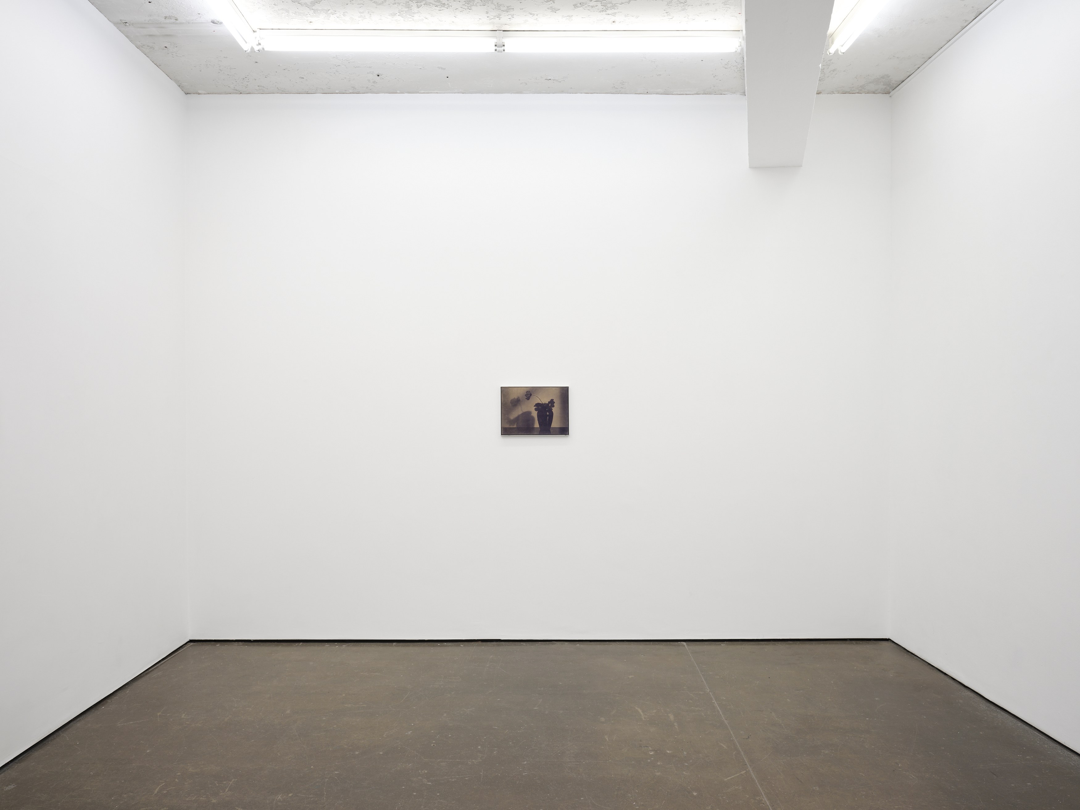 Poppy Jones, Solid Objects at Museum St, photo 8