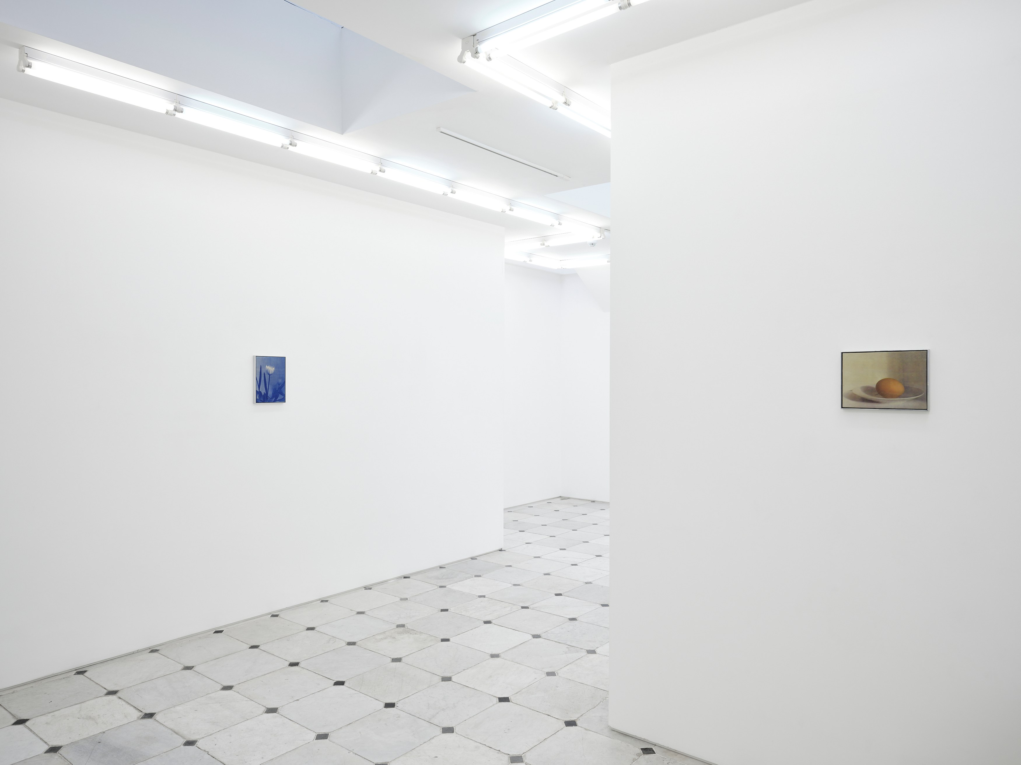 Poppy Jones, Solid Objects at Museum St, photo 12