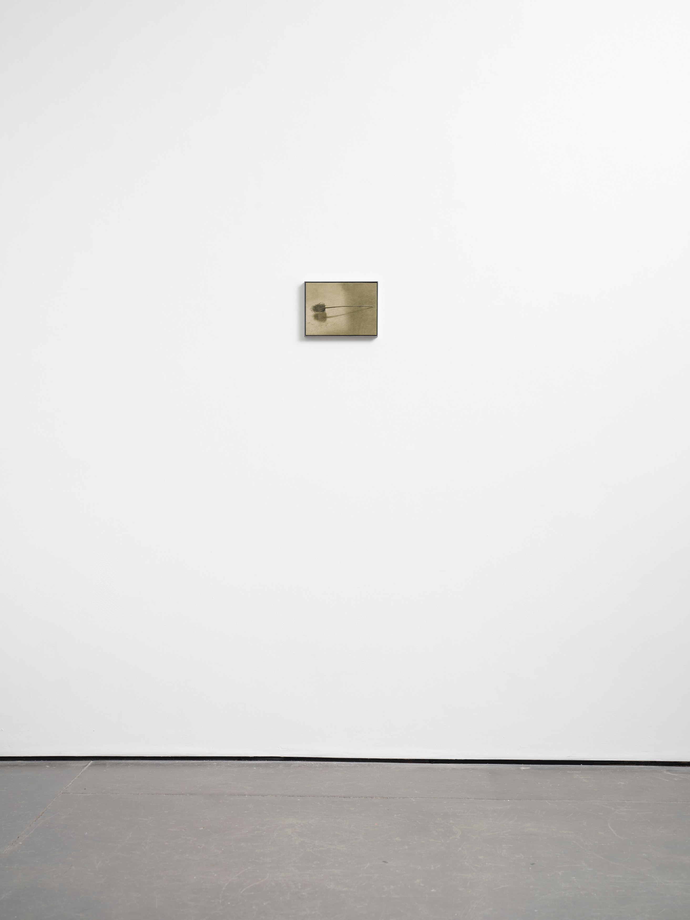 Poppy Jones, Solid Objects at Museum St, photo 30
