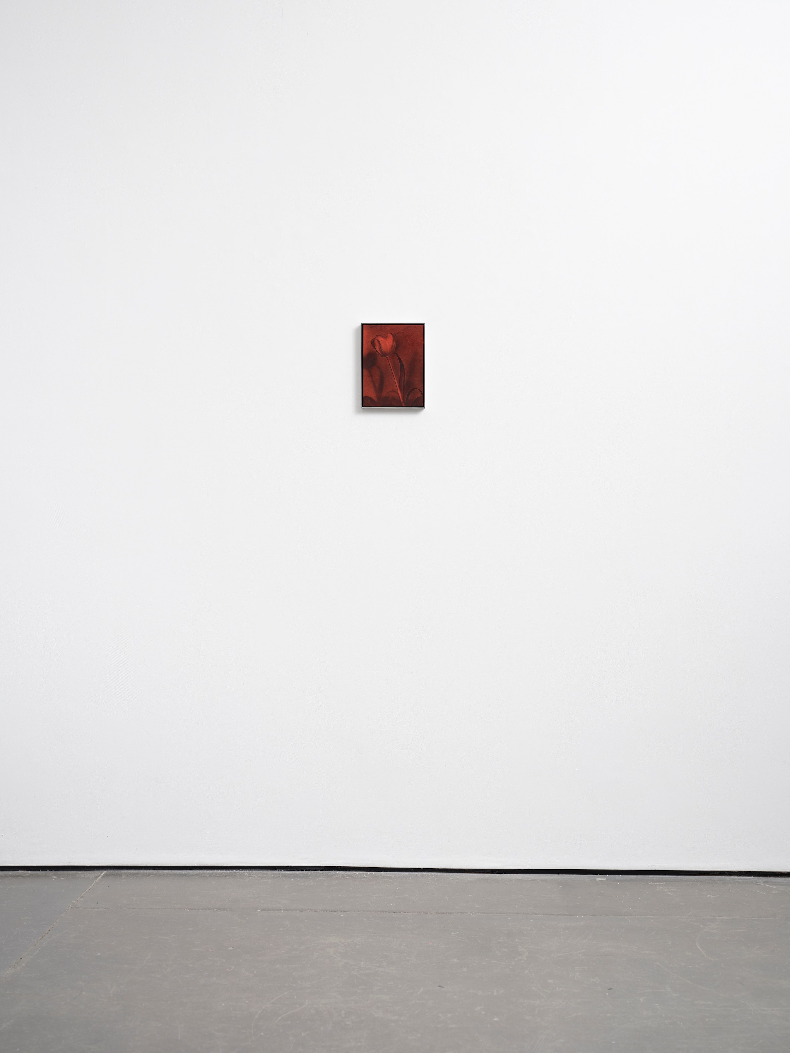 Poppy Jones, Solid Objects at Museum St, photo 33