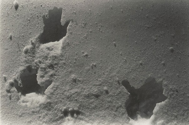 Image 17 of 22