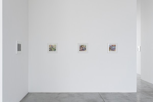 Image 4 of 17