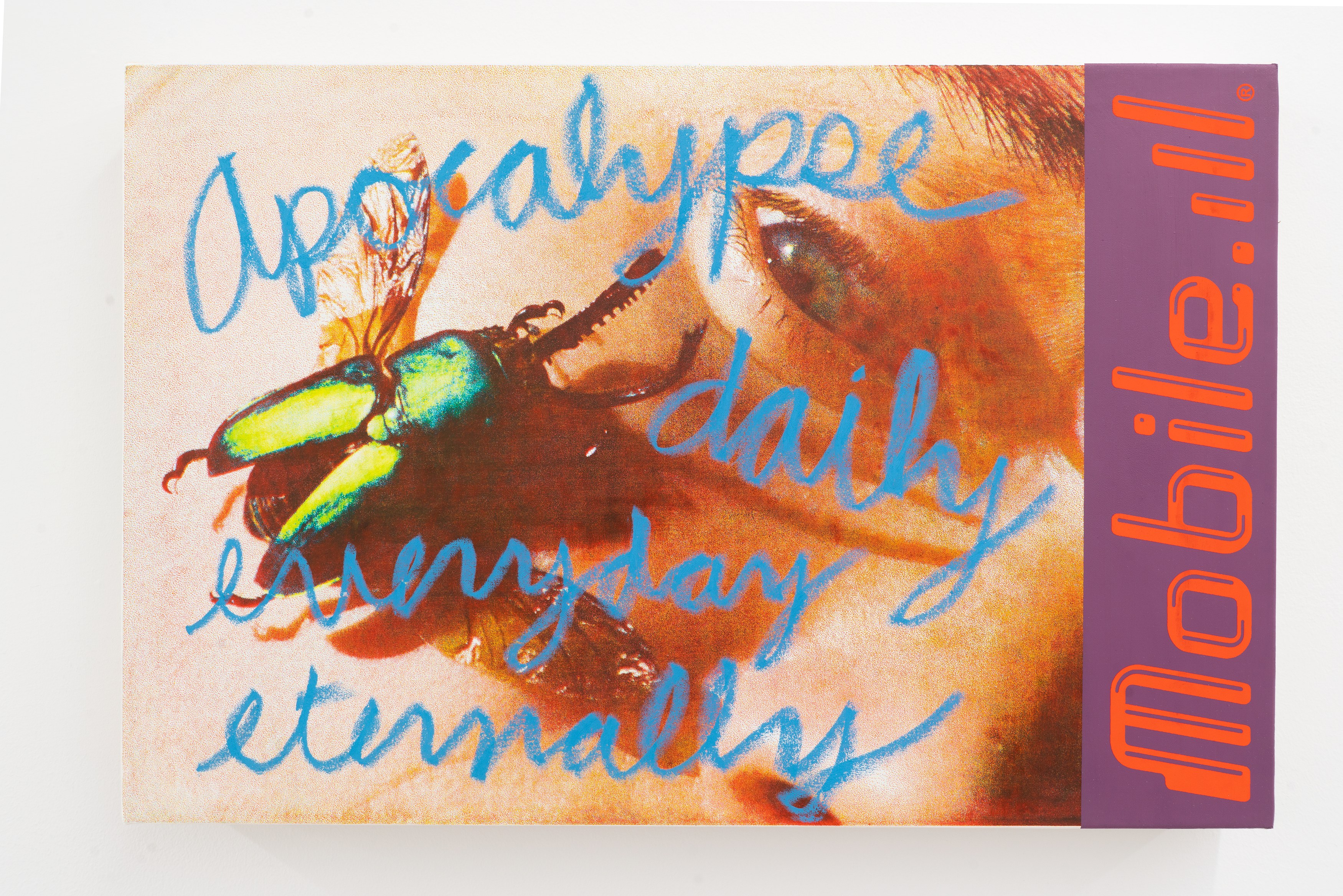 Installation view 12