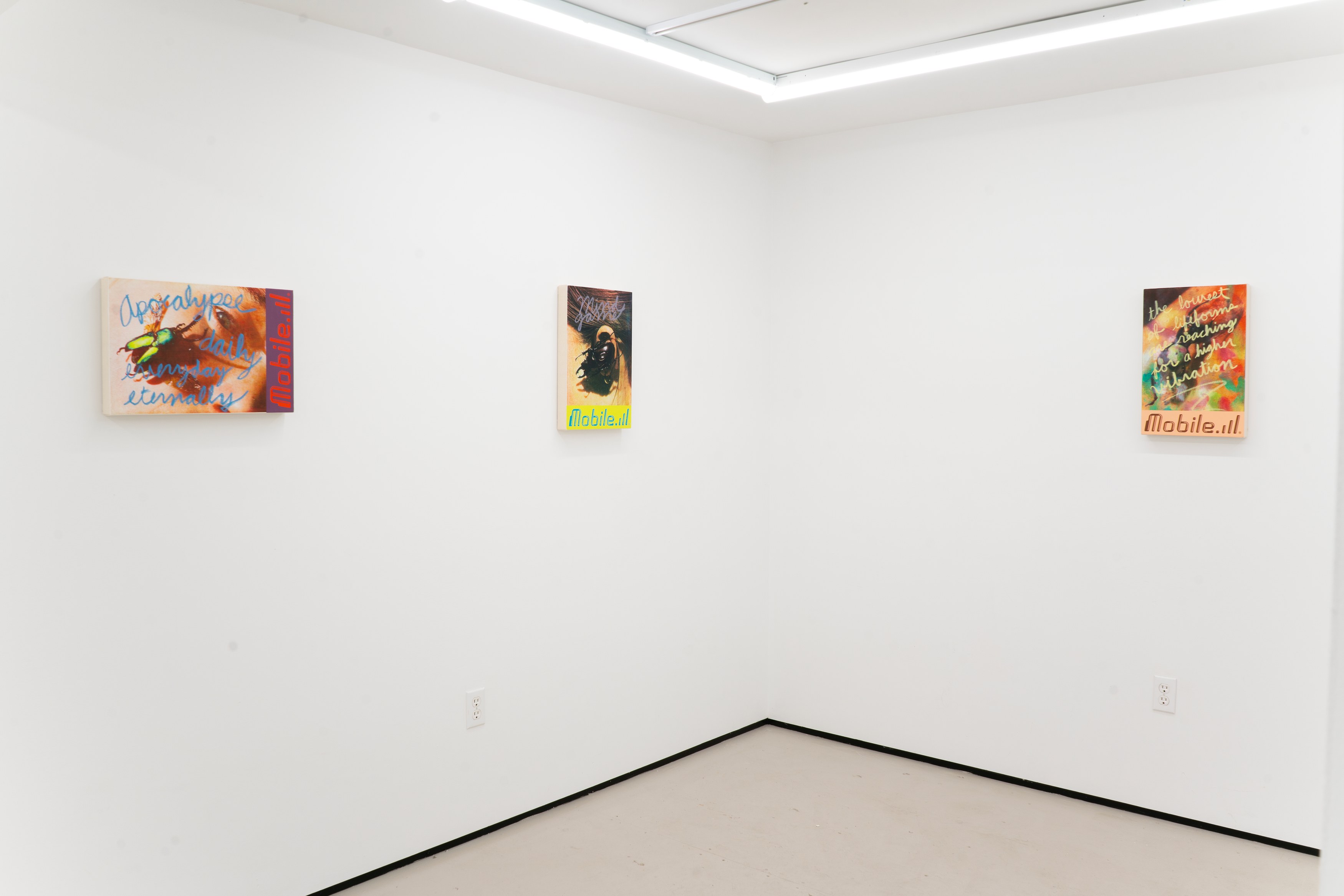 Installation view 4