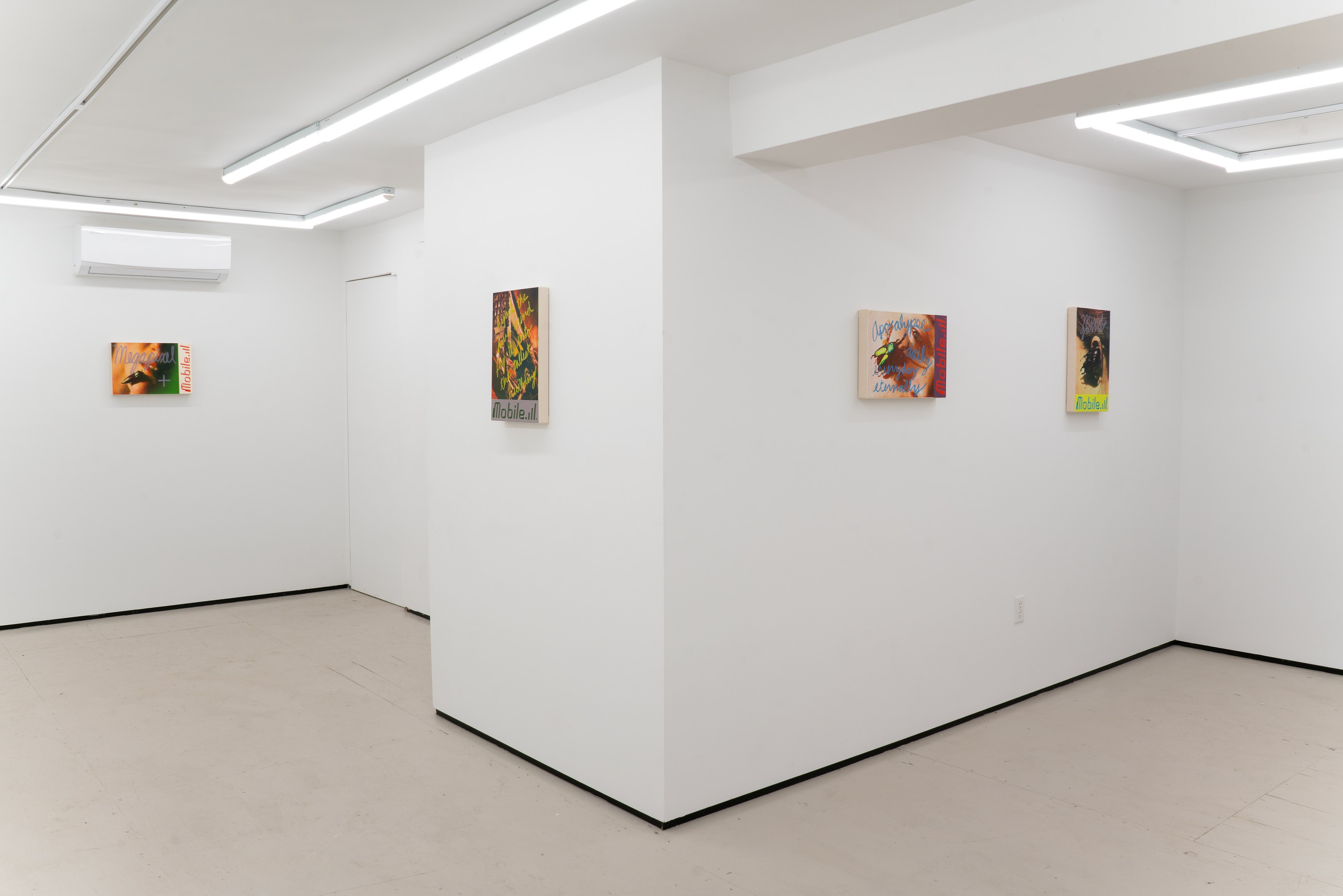 Installation view 8
