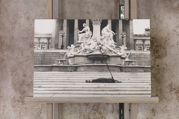Image 10 of 11