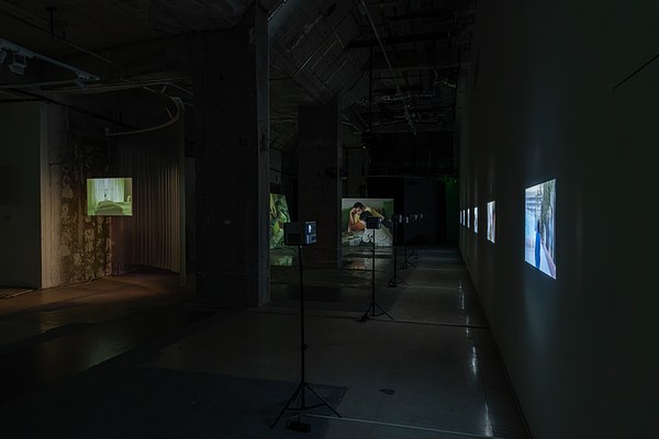Image 7 of 24