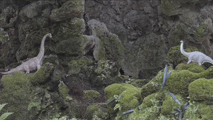 Image 21 of 24