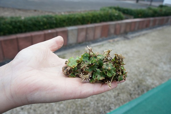 Image 21 of 30