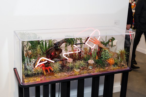 Image 5 of 6