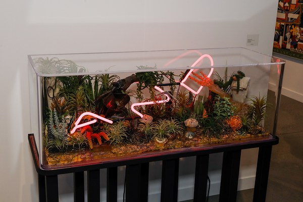 Image 6 of 6