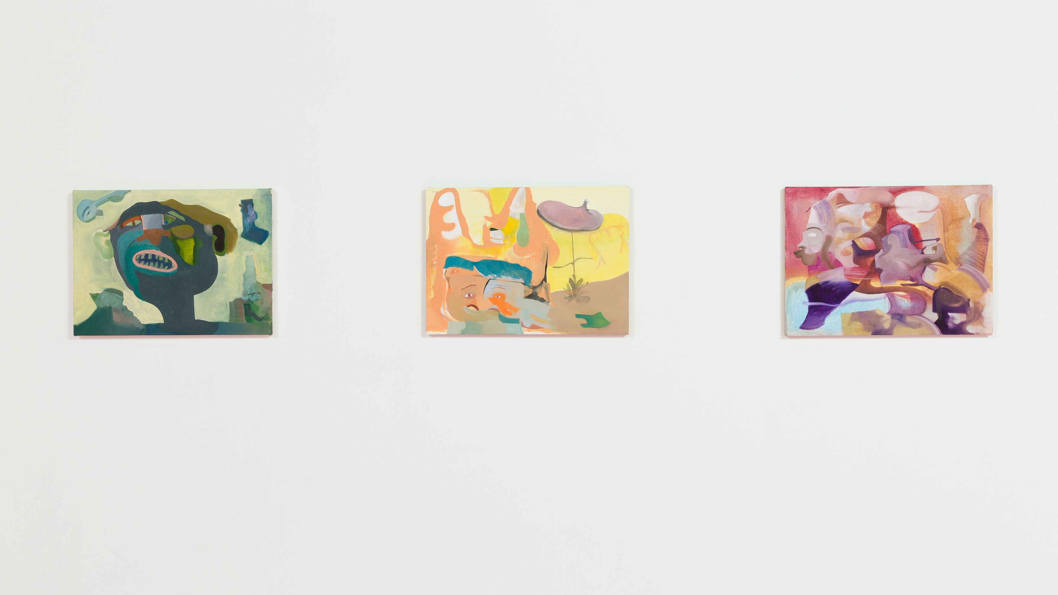 Vittorio Brodmann, No Time to Explain at Freedman Fitzpatrick, photo 13