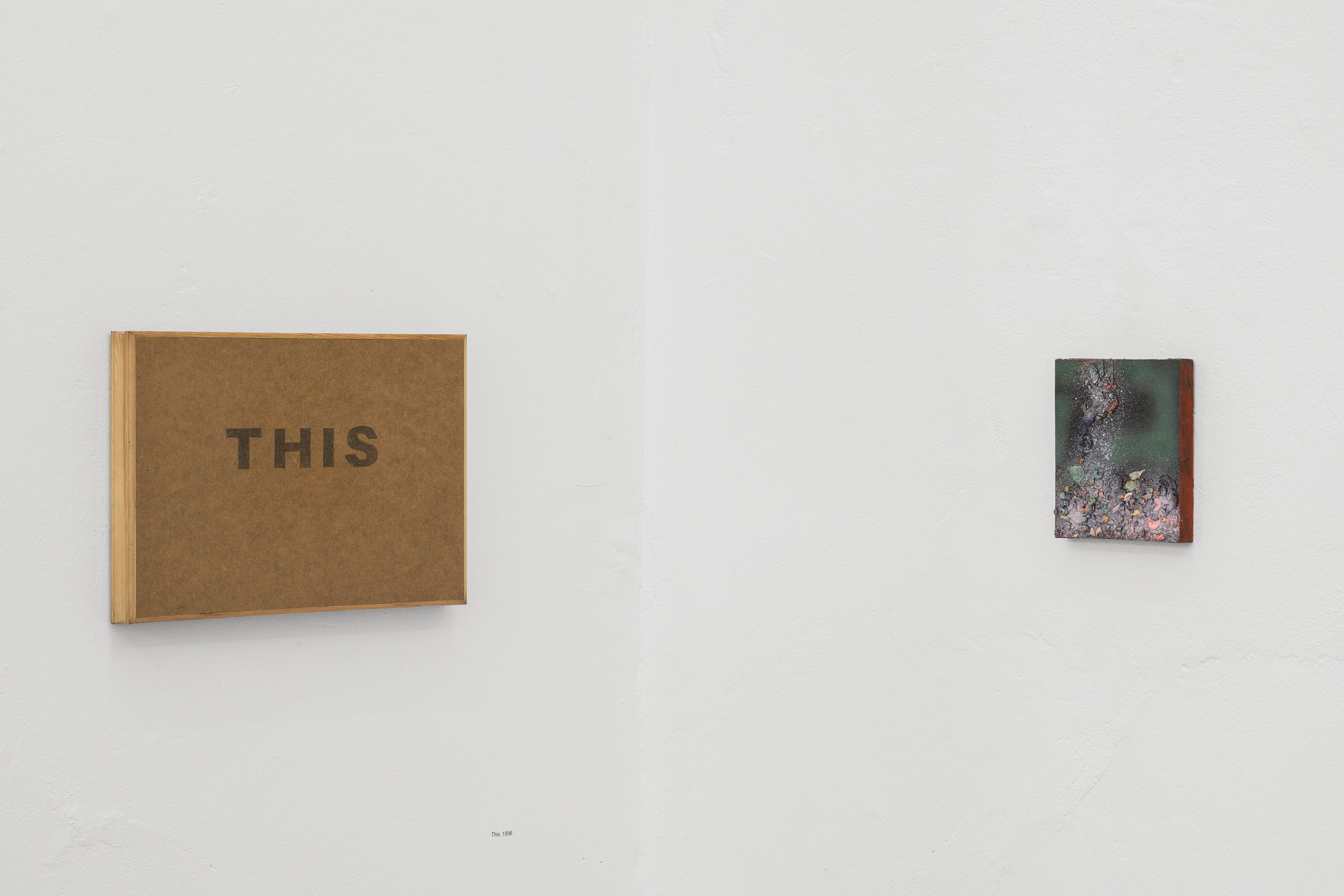 Terry Atkinson, The Books are Very Nearly Cooked at Schiefe Zähne, photo 25