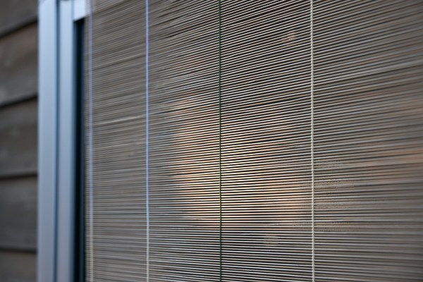 Image 10 of 19