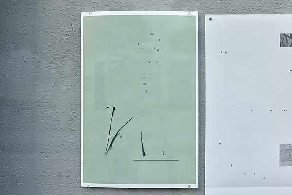 Image 7 of 20