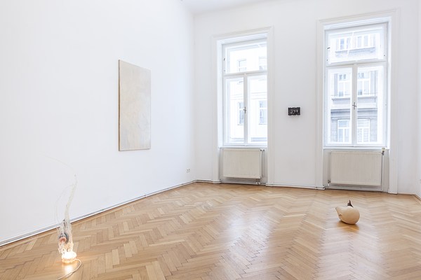 Image 1 of 24