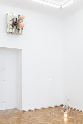 Image 4 of 24