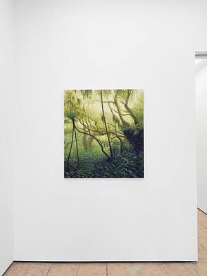 Image 7 of 27