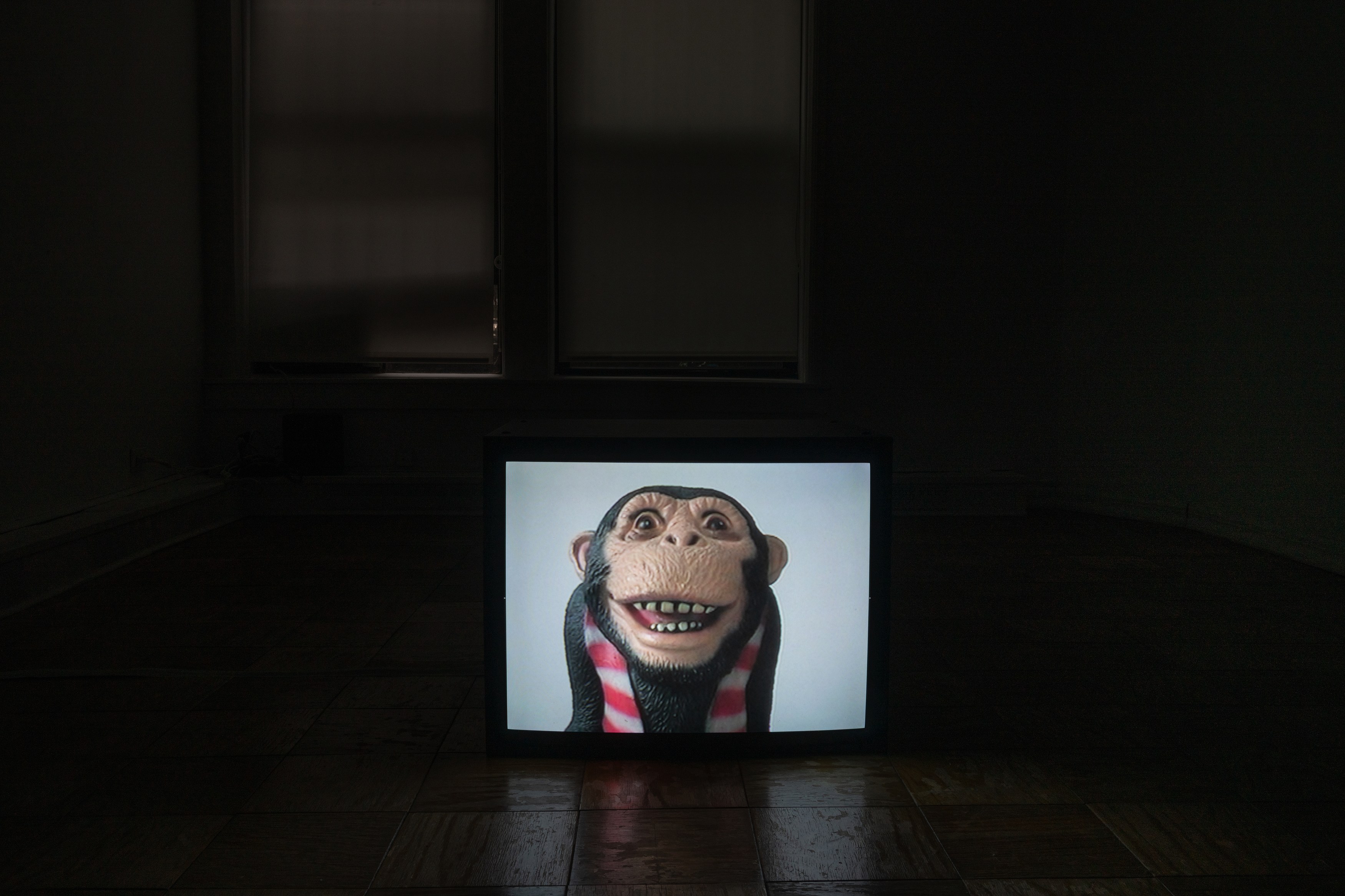 Anna Jermolaewa, Steven Parrino, The Demented Square at Meredith Rosen Gallery, photo 4
