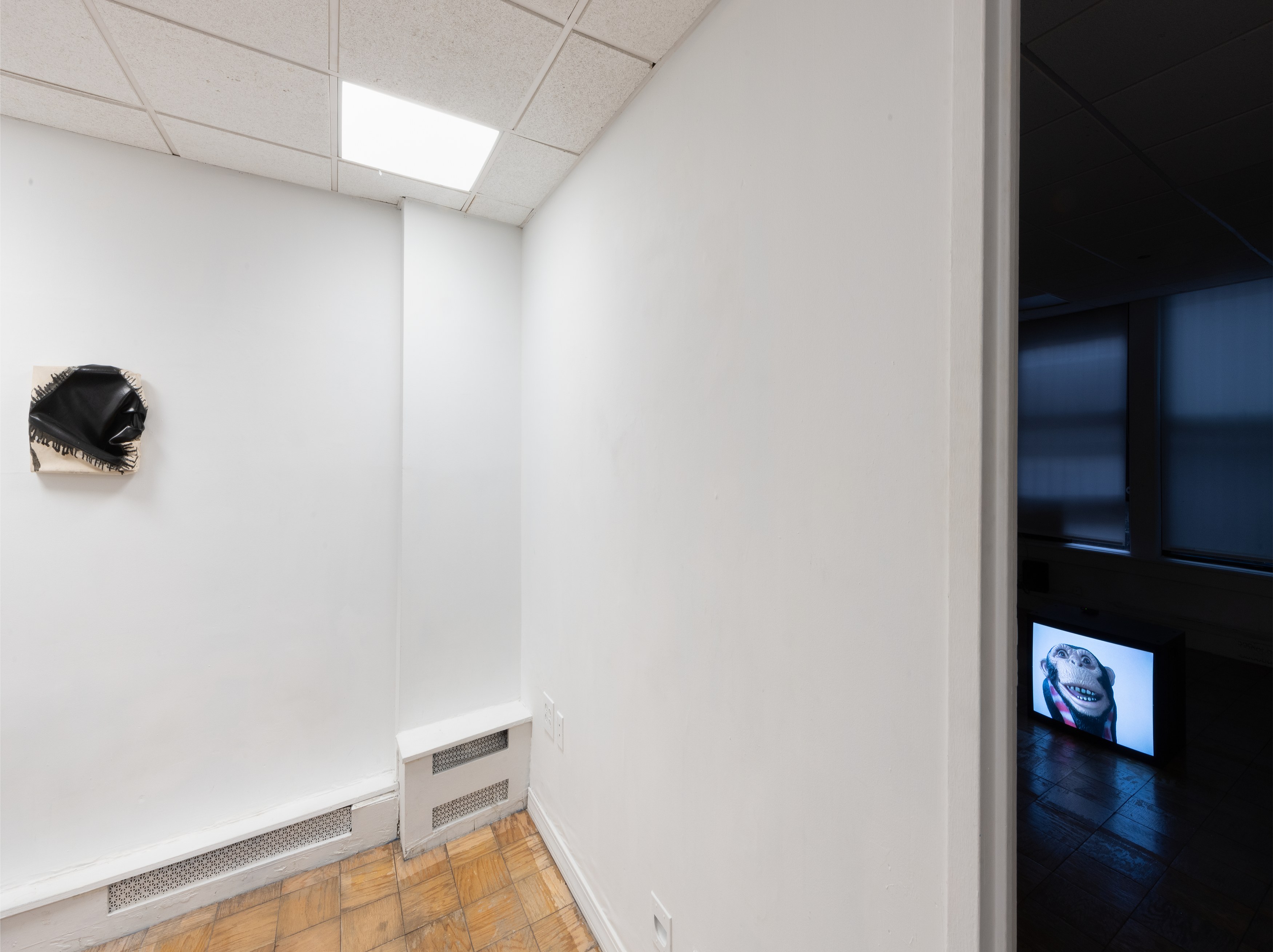 Anna Jermolaewa, Steven Parrino, The Demented Square at Meredith Rosen Gallery, photo 2