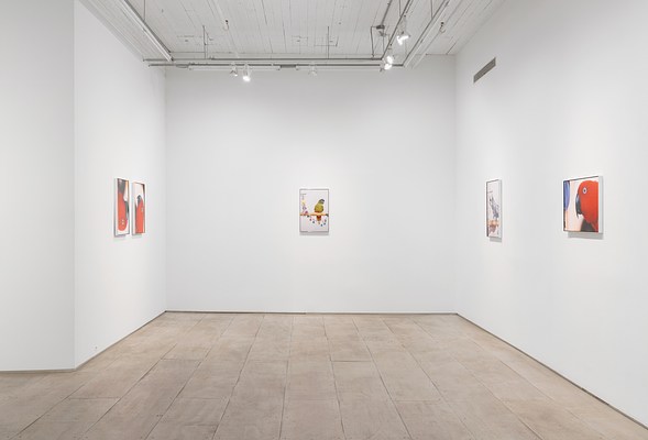 Image 4 of 32