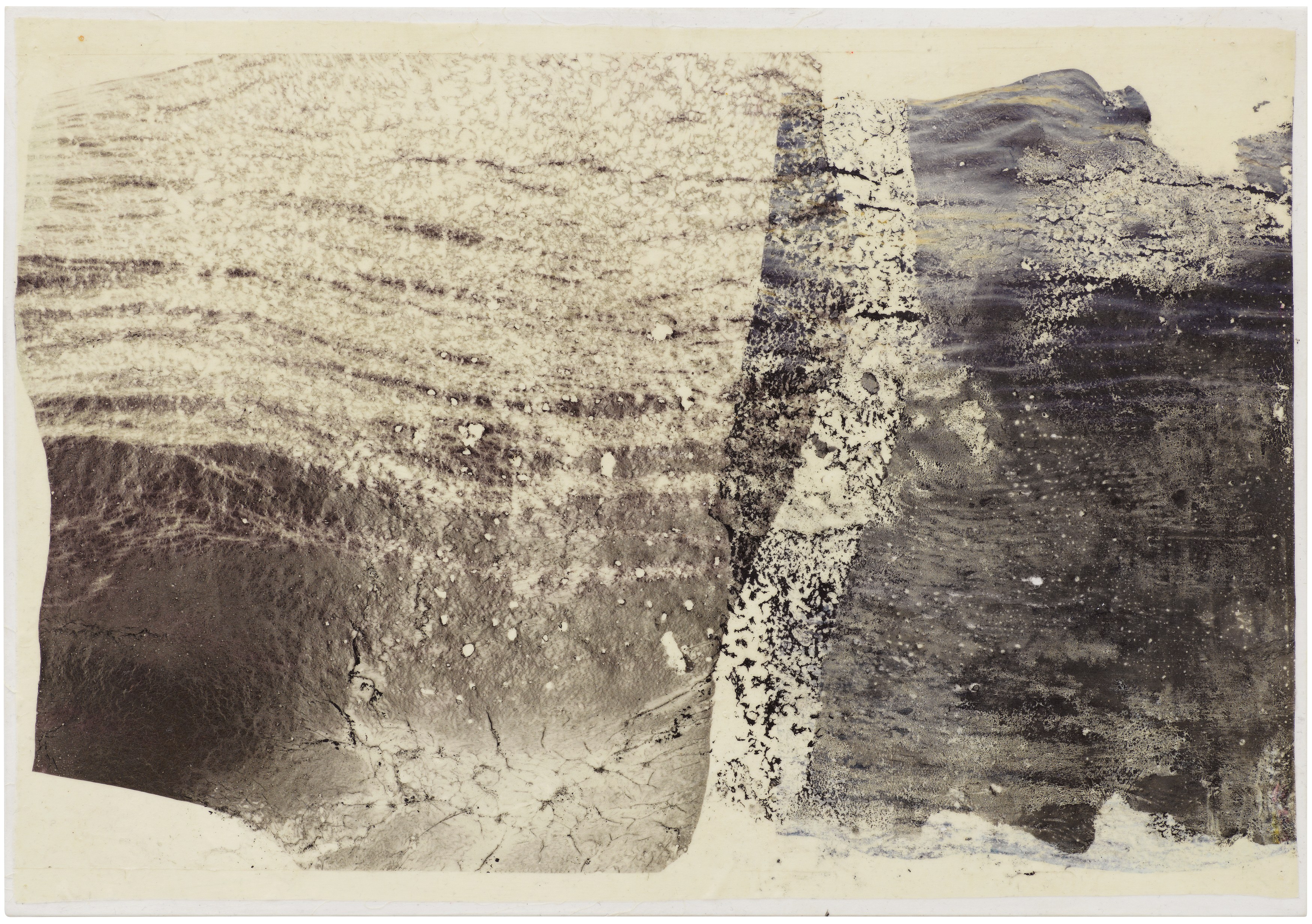 Stewart Uoo, Dryad at Galerie Buchholz, Berlin, photo 7