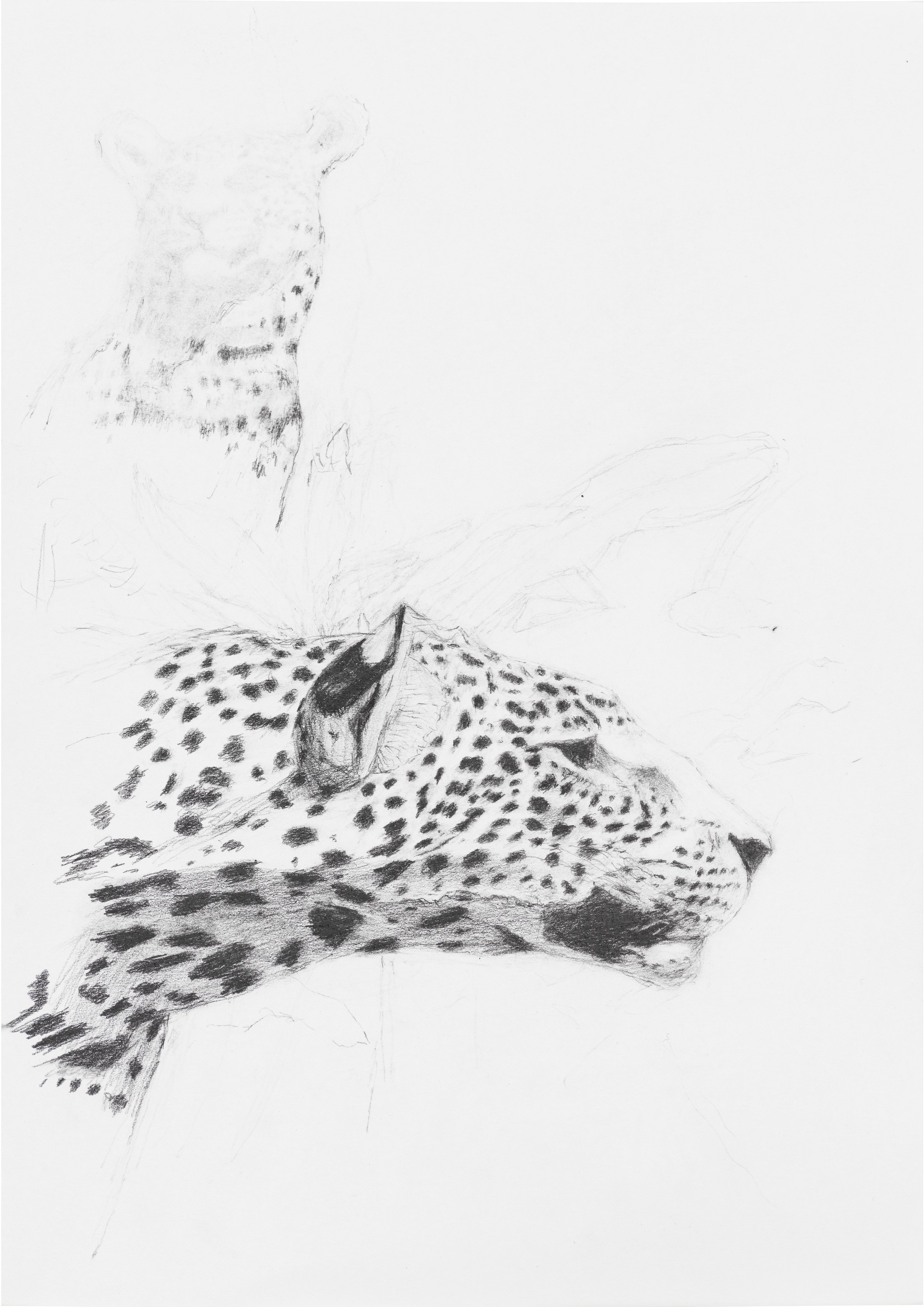 Caleb Considine, Lost Cove Tiki at Galerie Buchholz, Berlin, photo 2