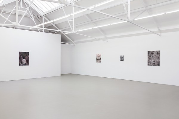 Image 2 of 23