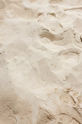 Image 8 of 19