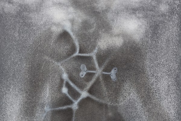 Image 10 of 23