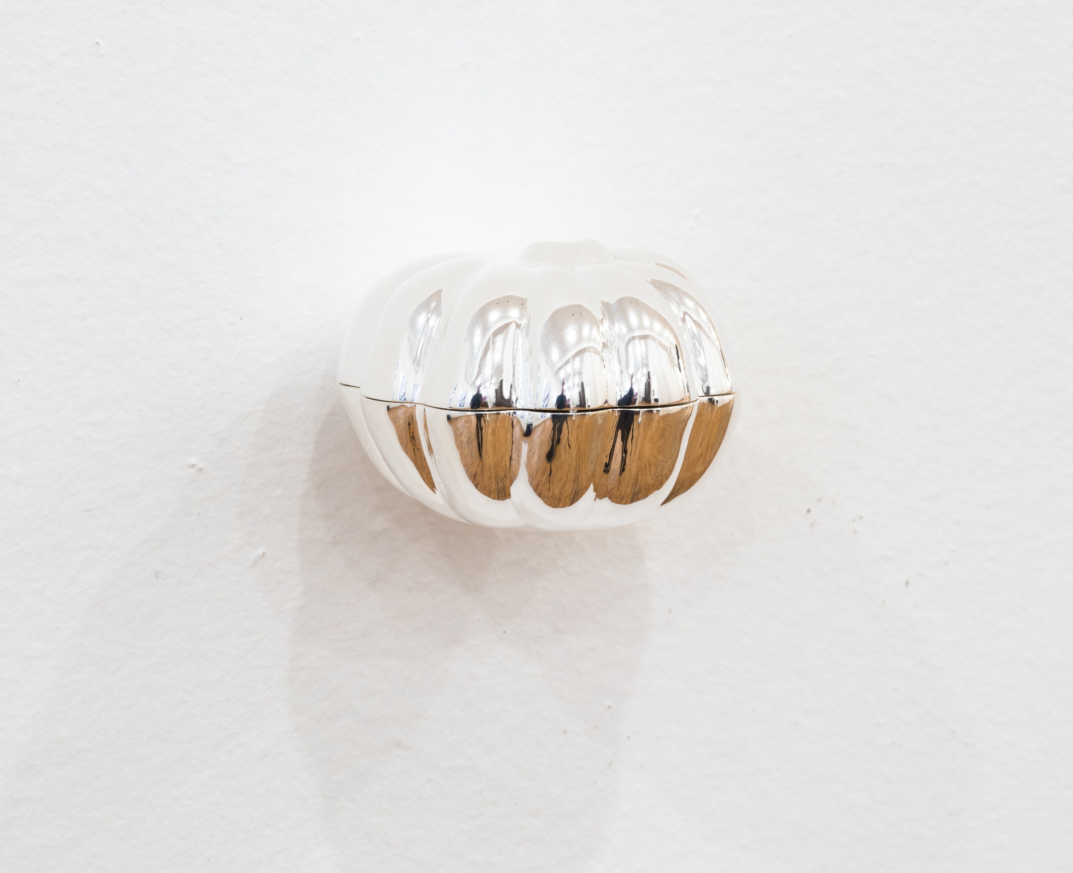 Notes Toward a Shell, Notes Toward a Shell at Tara Downs, photo 4