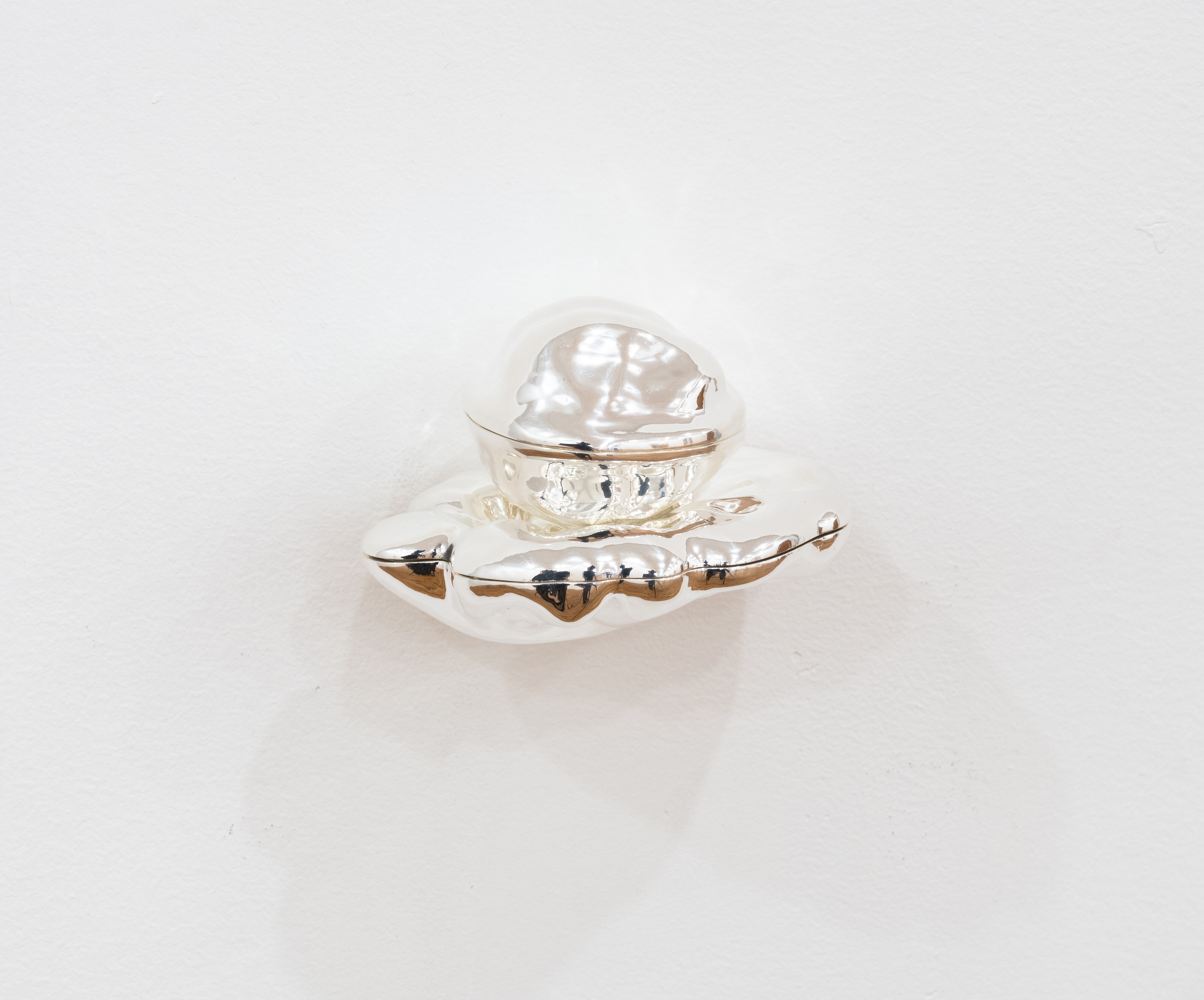 Notes Toward a Shell, Notes Toward a Shell at Tara Downs, photo 19