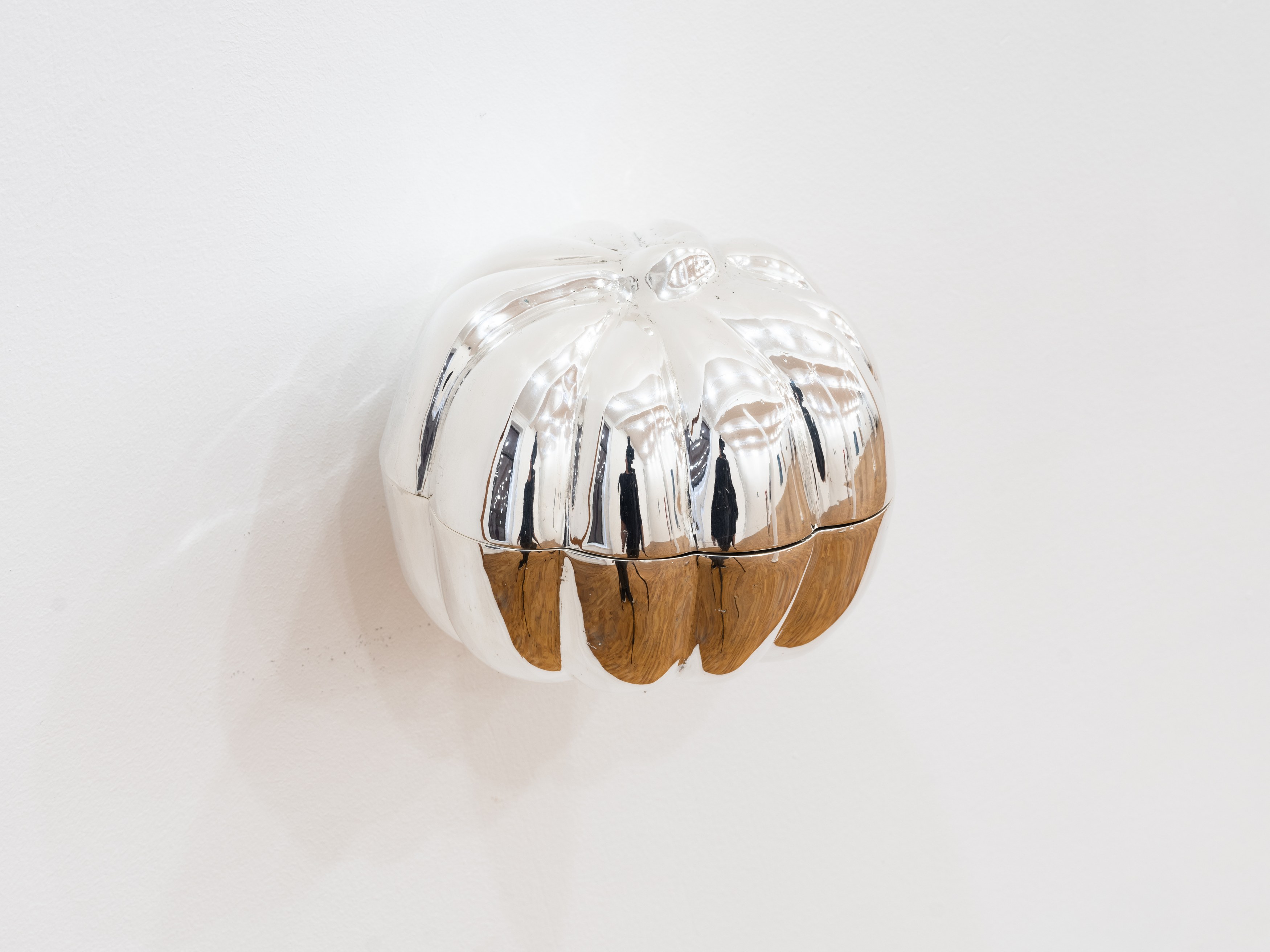 Notes Toward a Shell, Notes Toward a Shell at Tara Downs, photo 22