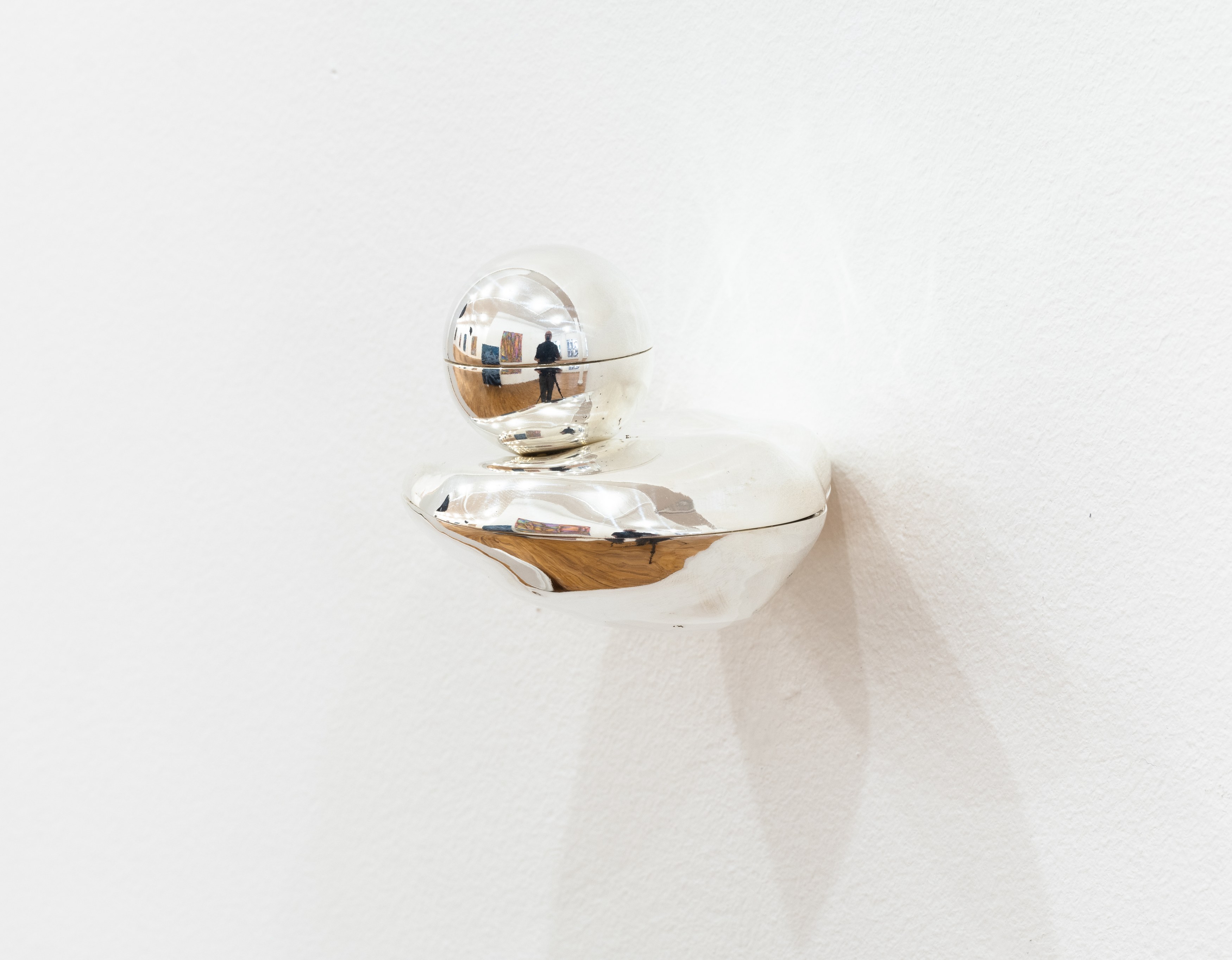 Notes Toward a Shell, Notes Toward a Shell at Tara Downs, photo 29