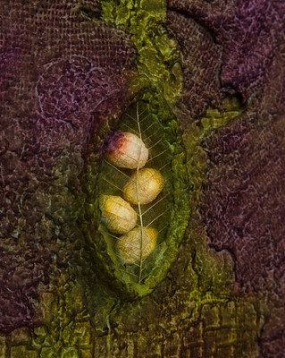 Image 22 of 22