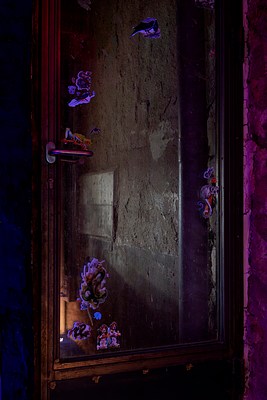Image 10 of 28